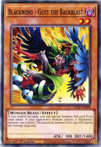 Yu-Gi-Oh! | Blackwing - Gust the Backblast | LDS2-EN038 | Common | 1st Ed