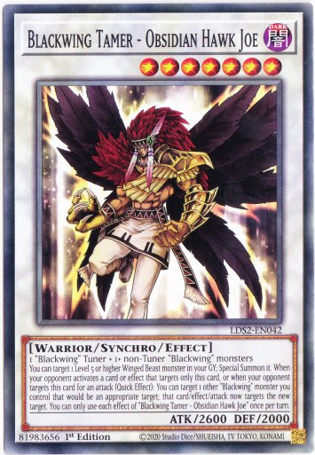 Yu-Gi-Oh! | Blackwing Tamer - Obsidian Hawk Joe | LDS2-EN042 | Common | 1st Ed