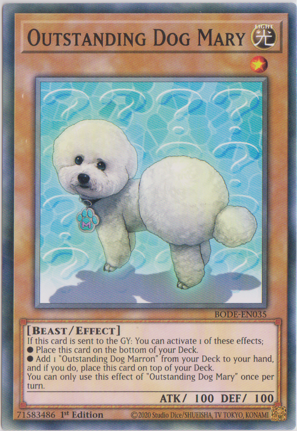 Yu-Gi-Oh! | Outstanding Dog Mary | BODE-EN035 | Common | 1st Edition